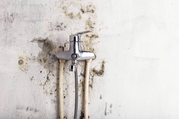 Best Emergency Mold Removal  in Deenwood, GA