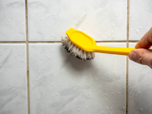 Best Best Mold Removal Companies  in Deenwood, GA