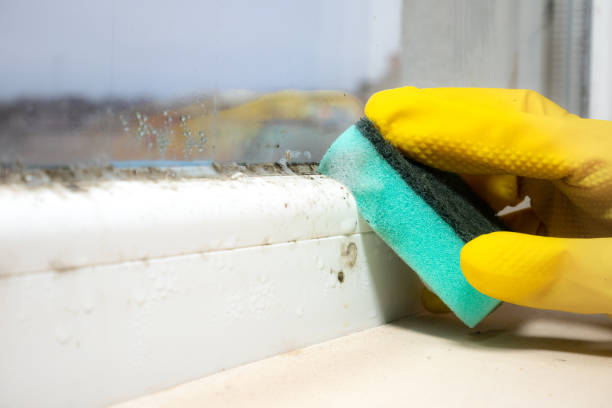 Best Mold Testing  in Deenwood, GA