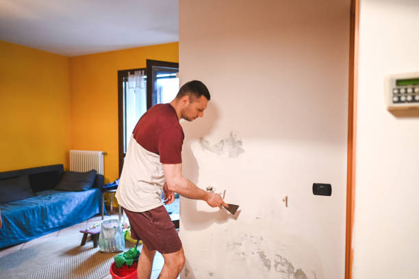 Best Mold Damage Repair  in Deenwood, GA